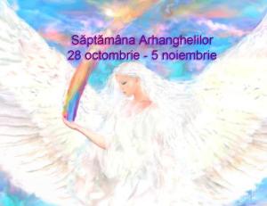 553660_469867469702770_2059109014_n