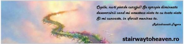 559315_355860167827858_752184643_n