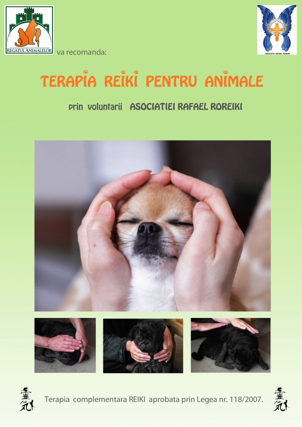 afis reiki animale roreiki