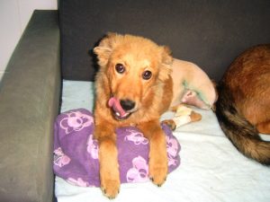 163586_456489064431634_1846567261_n