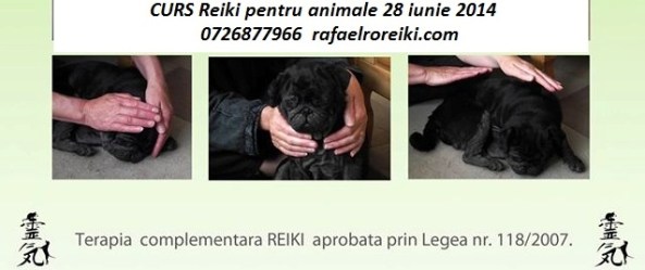 1622287_603882649692274_1356844654_o